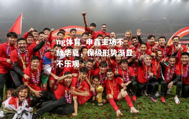 申鑫主场不敌华夏，保级形势渐显不乐观